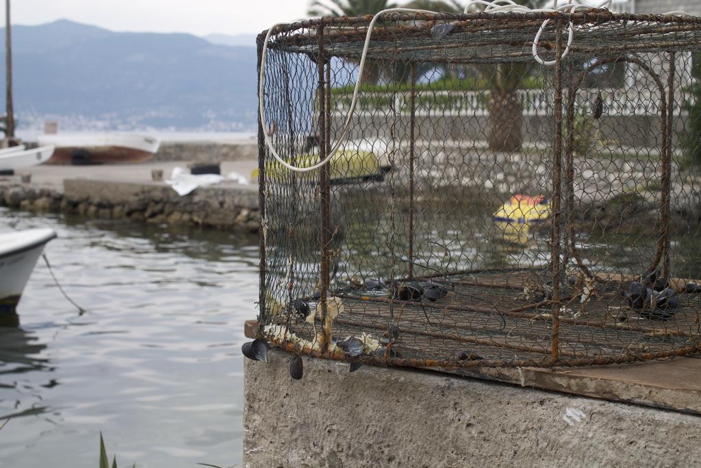 Leut Stone Residence Tivat Buitenkant foto